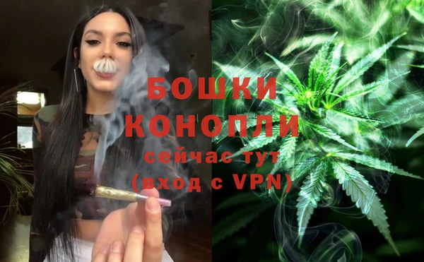 винт Арсеньев